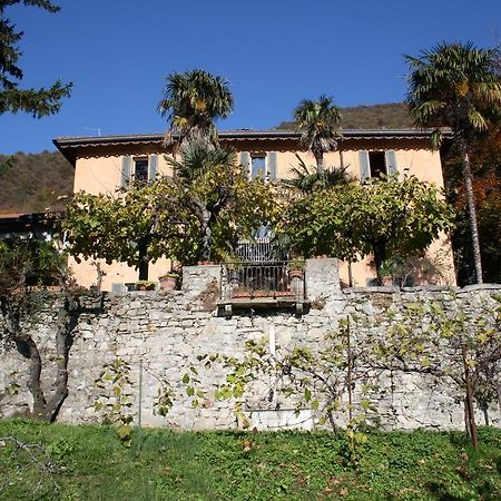 Antico Glicine B&B Масльянико Экстерьер фото