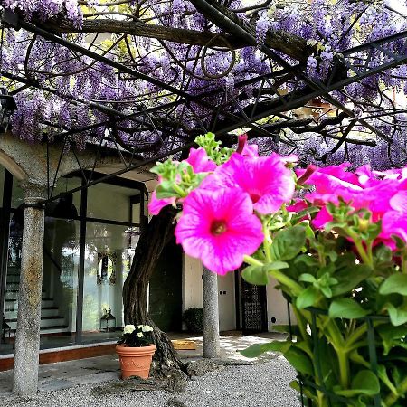 Antico Glicine B&B Масльянико Экстерьер фото