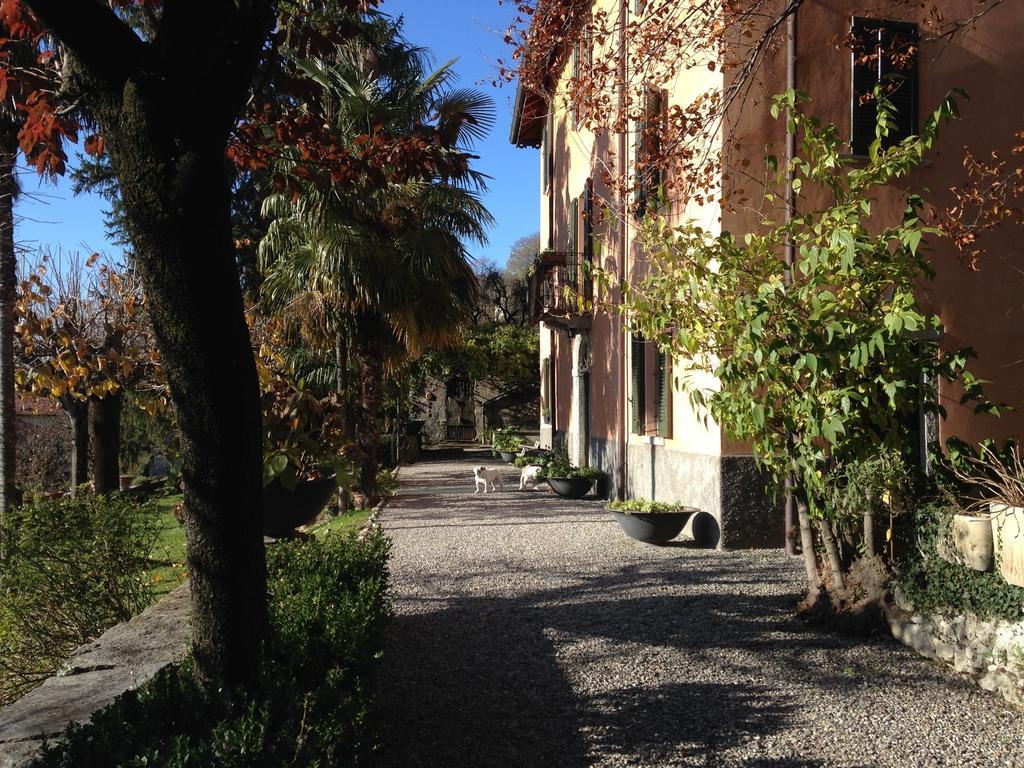 Antico Glicine B&B Масльянико Экстерьер фото